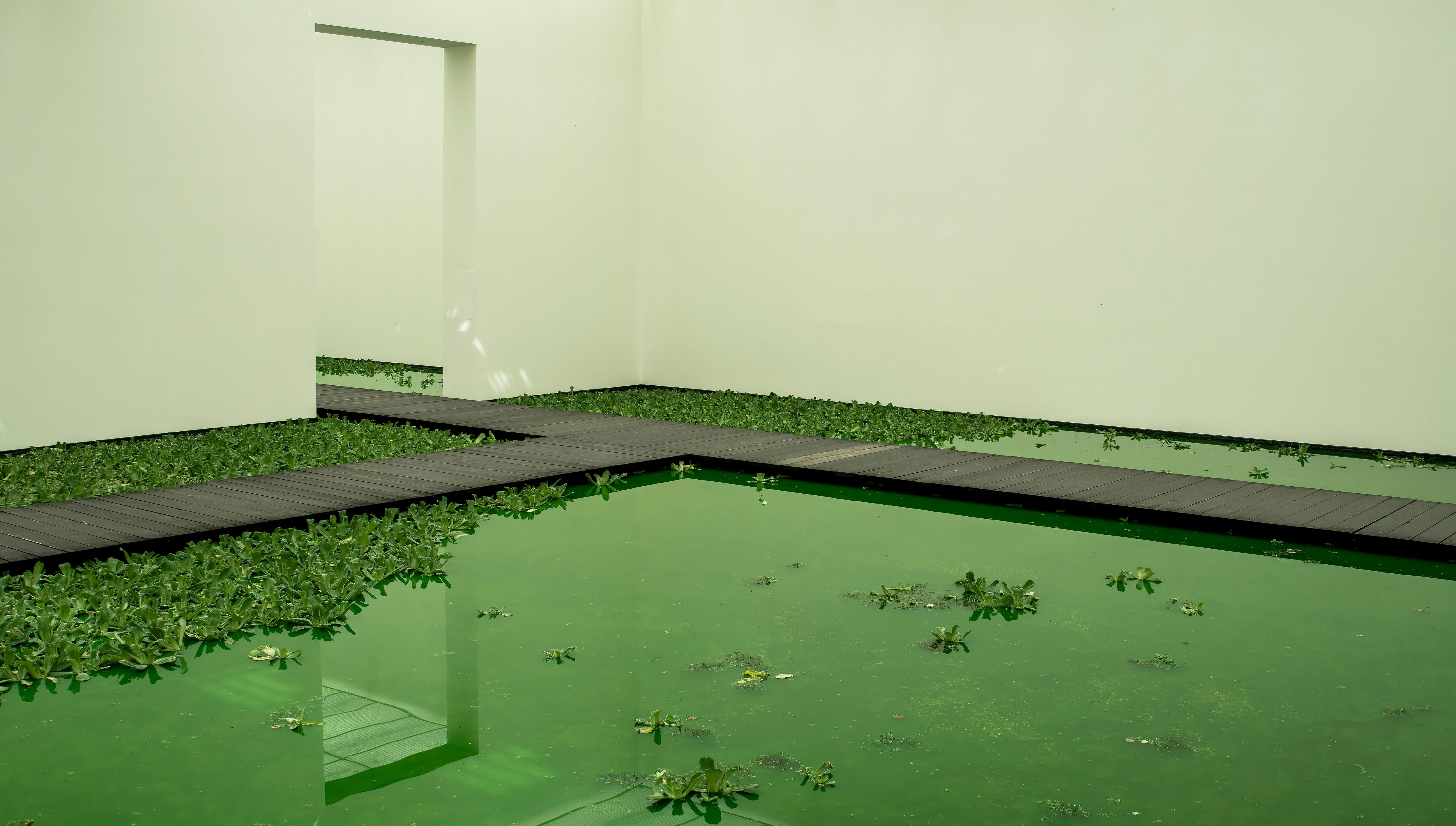 Minimalist Green Pool