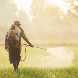 Noxious Weed Department head prepares for new season