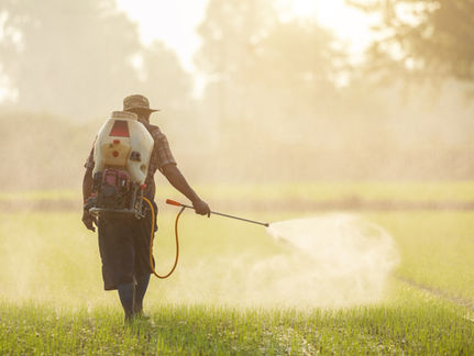 Noxious Weed Department head prepares for new season