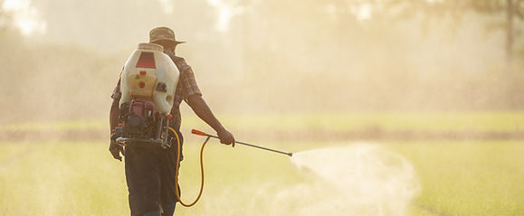 A farmer is taking care of the rice patty