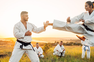 Martial Arts Training