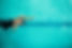 Backstroke Swimmer
