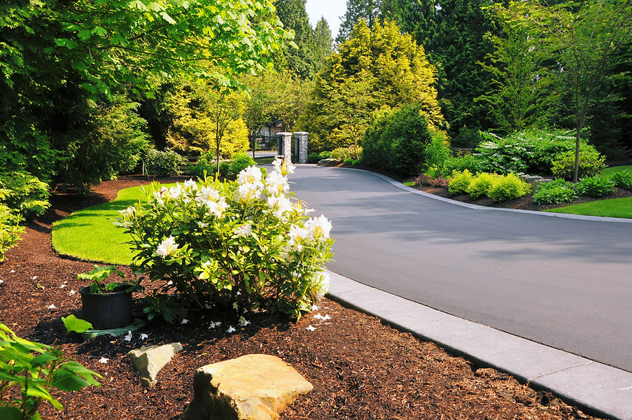 A paved driveway curves through a lush garden
