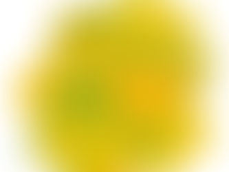 Dans l’atelier de… Muriel Hasse-Collin, designer textile