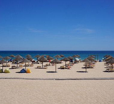 써니 비치 데이