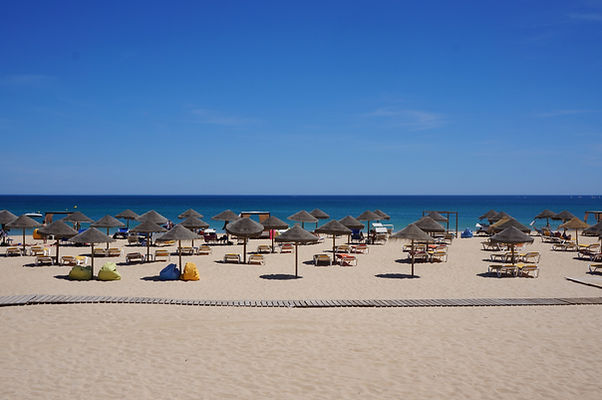 Sunny Beach Day