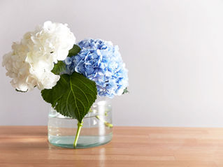 ウェブサイトを更新しました!