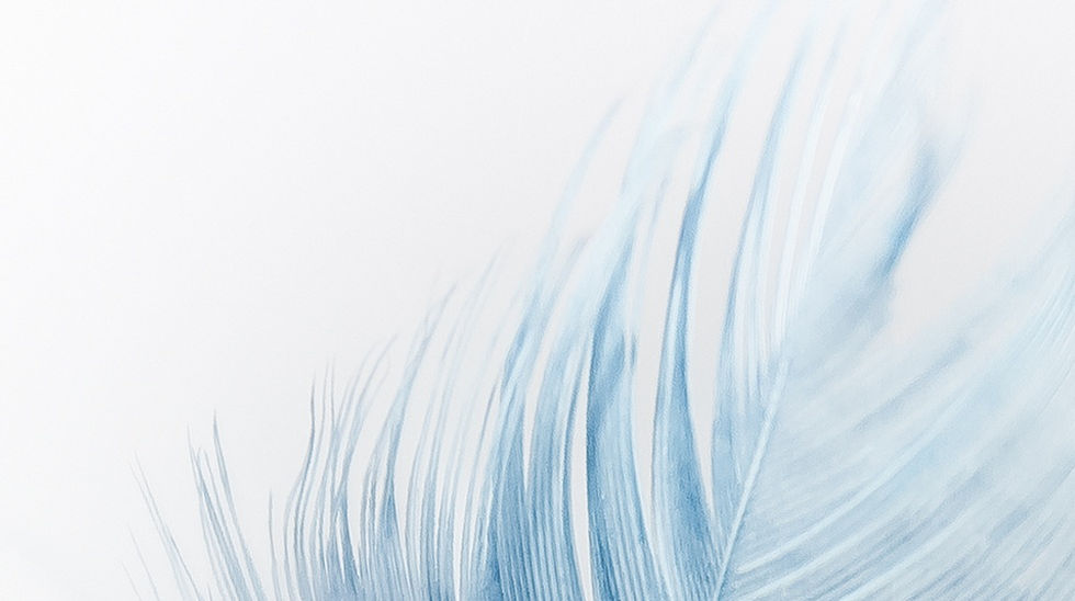Feather