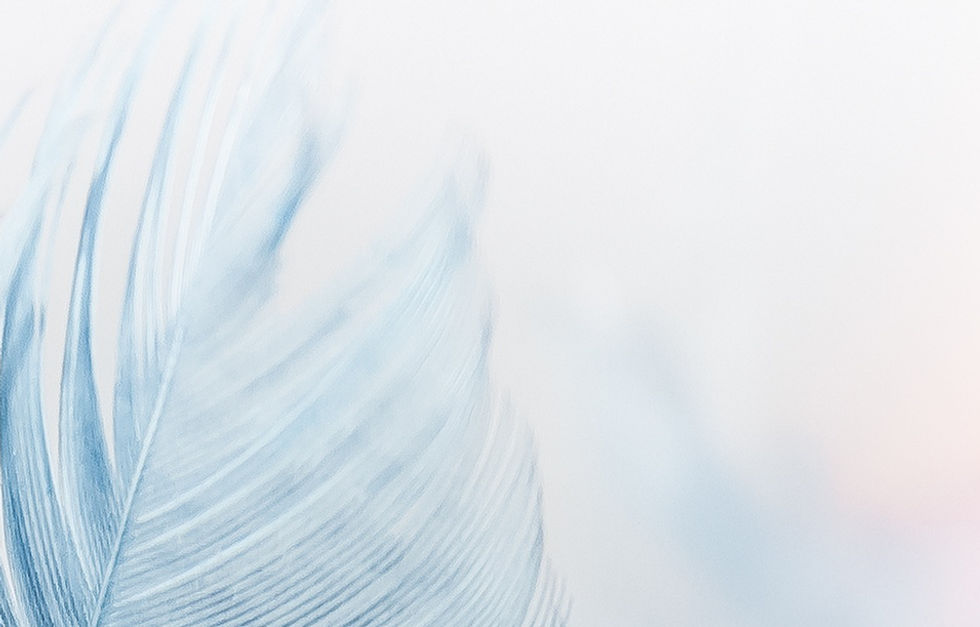 Feather
