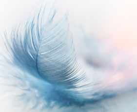Plume