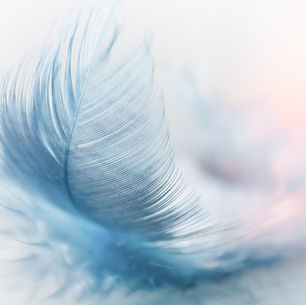 שילוב תלמידים עם הפרעות נפשיות