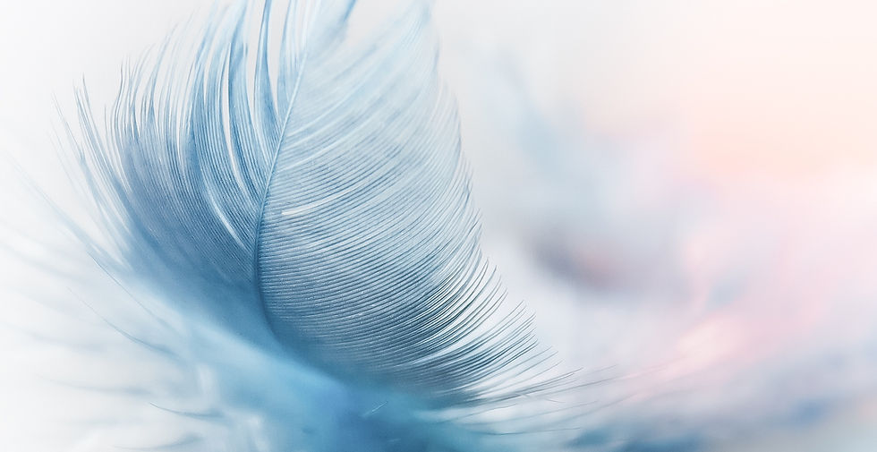 Feather