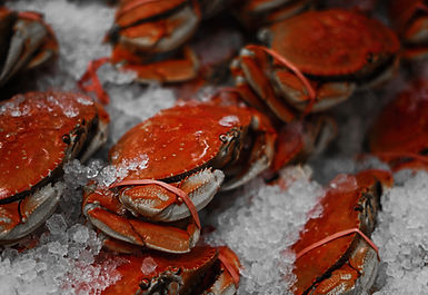 Crabs on Ice