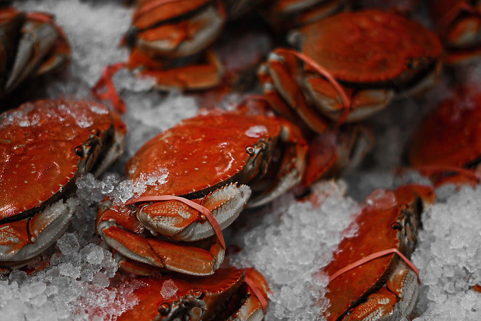 Crabs on Ice