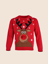 Reindeer Sweater