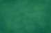 Green Backdrop