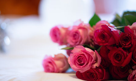 Pink And Red Roses