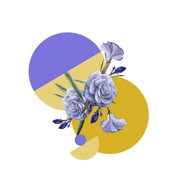 Purple Flowers