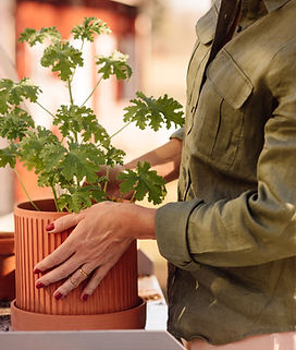 Taking care of a pot flower