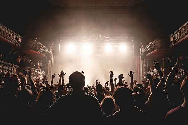 Concert crowd
