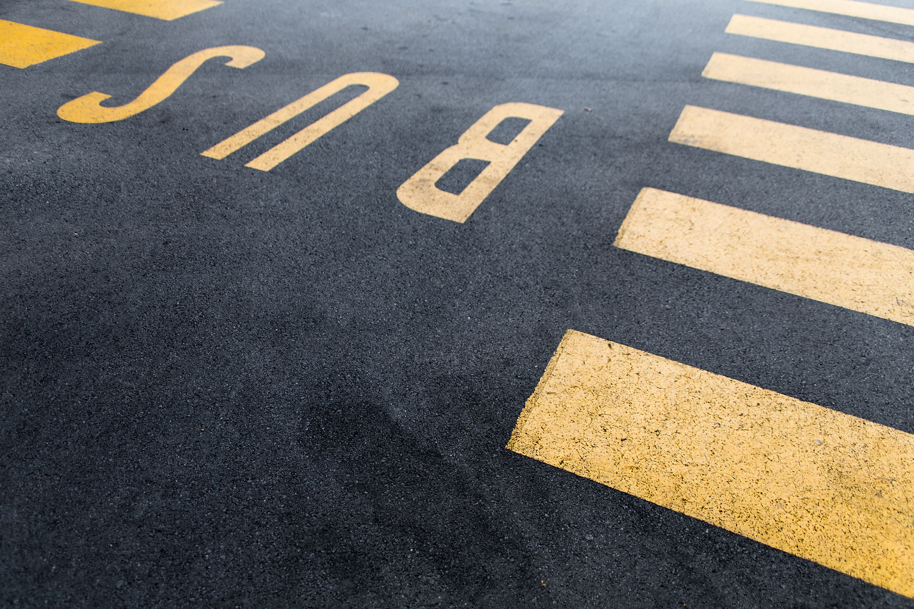 Bus Lane