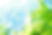 春のイメージ_若葉、新緑