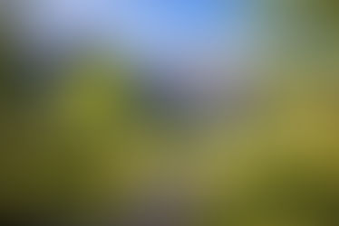 CREW ARE ON SUMMER BREAK