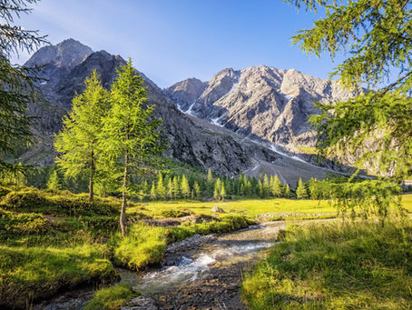 Solitude Gives us Rest