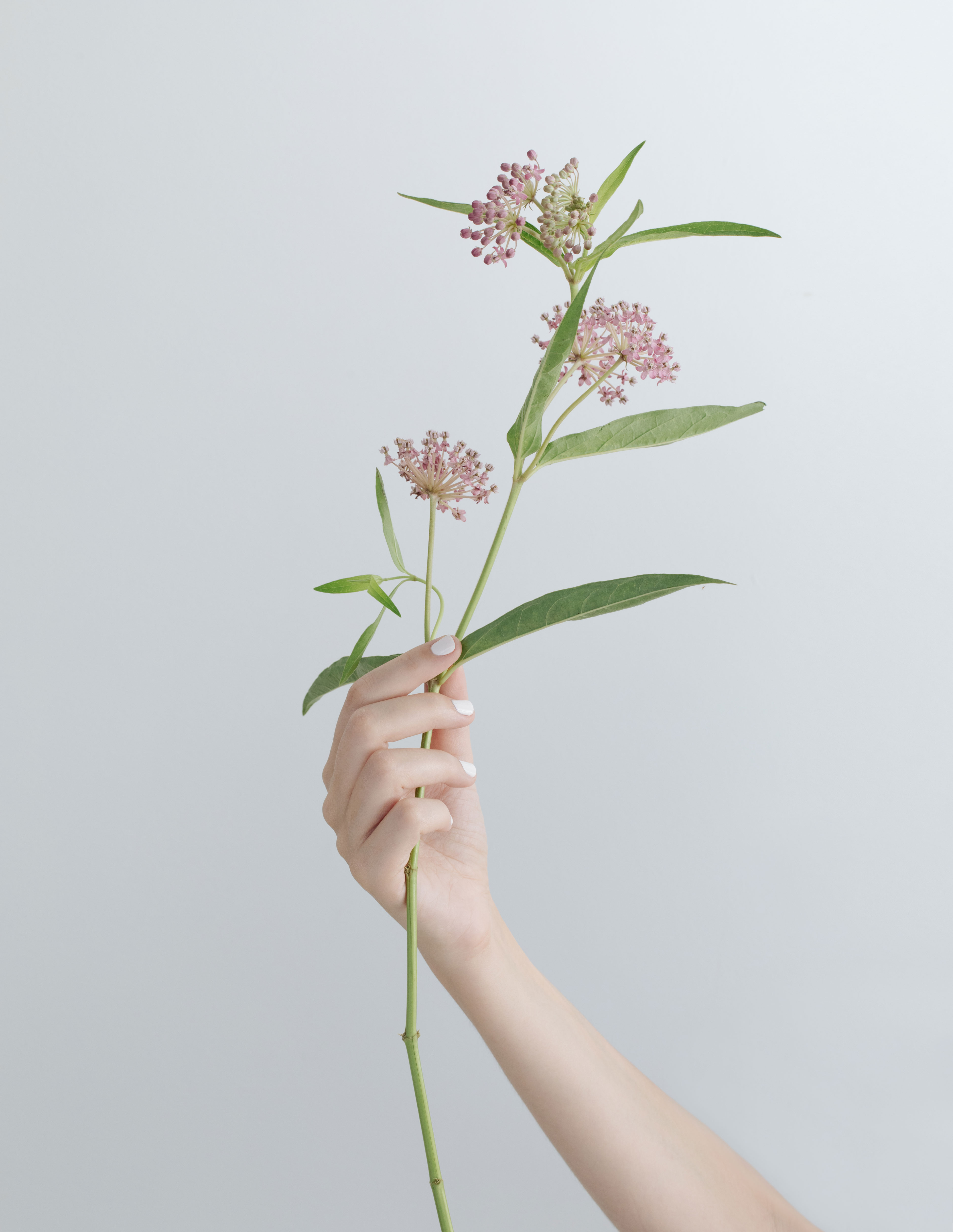 Writer: The Project Pamper Team