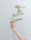Branch of Flowers