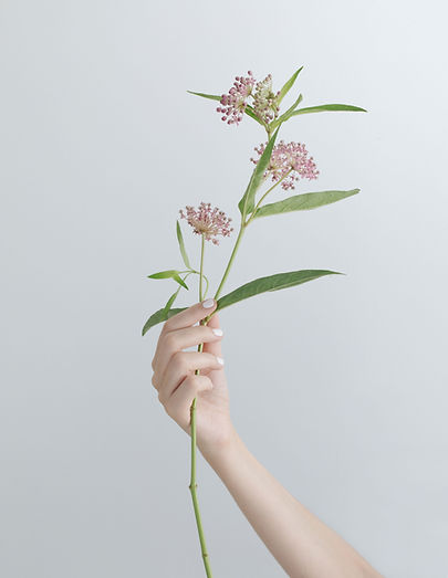Ramo de flores