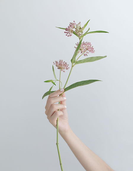 Branch of Flowers