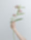 Branch of Flowers