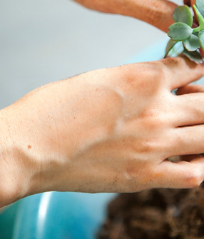 pierre-chatel-innocenti-Lk-nu_hX6ms-unsplash 2.png