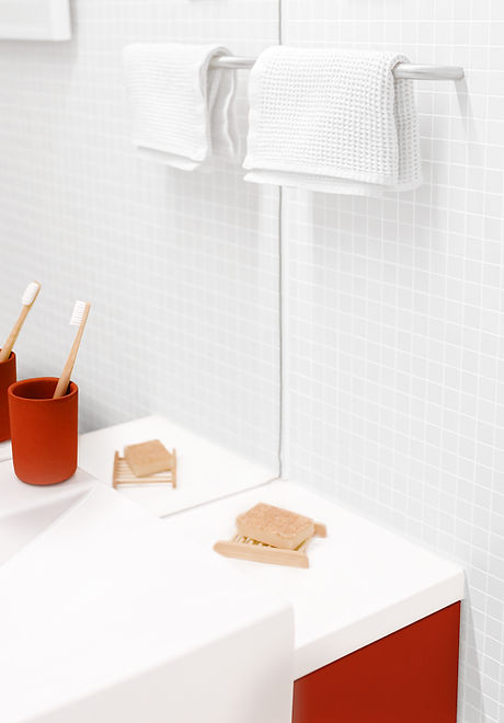 Red and White Bathroom