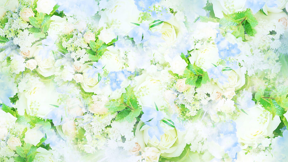 背景-花-春-夏-さわやか