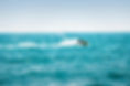 Jet Skiing