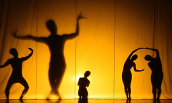Shadow Show