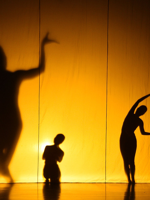 Shadow Show