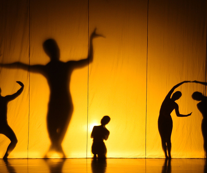 Shadow Show