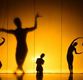 Shadow Show