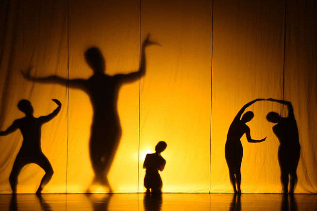 Shadow Show