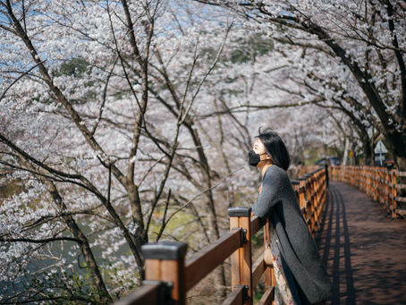 Rasa - Deep Appreciation for Everyday Moments