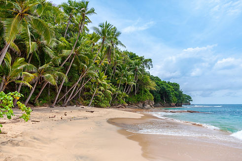 Tropical Beach