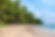 Tropical Beach 
