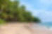 tropical Beach 