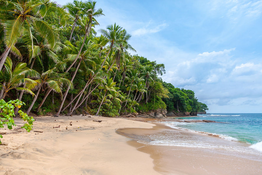 Tropical Beach