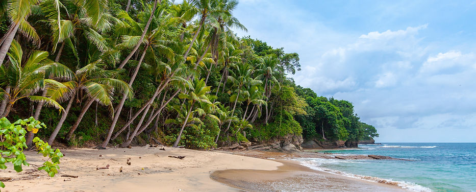 Tropical Beach