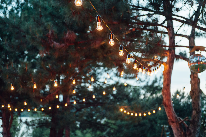 Light Bulbs Garland