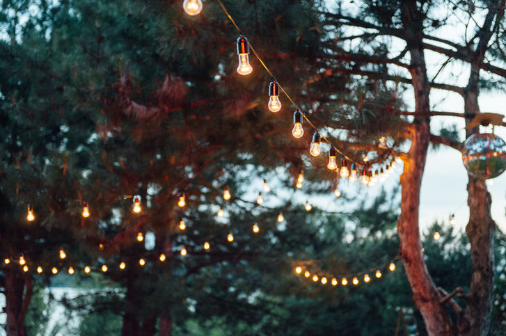 Light Bulbs Garland